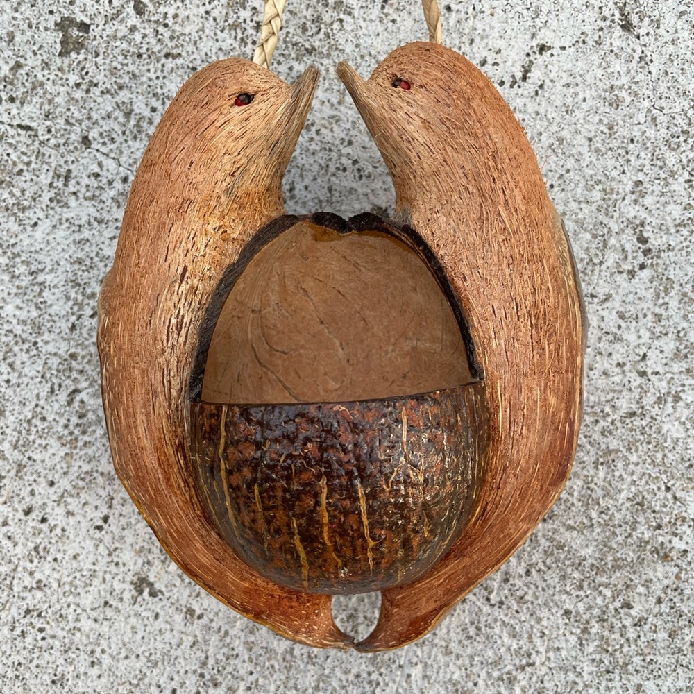Handcrafted Coconut Shell Bird Planter or Feeder
